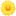 🌼